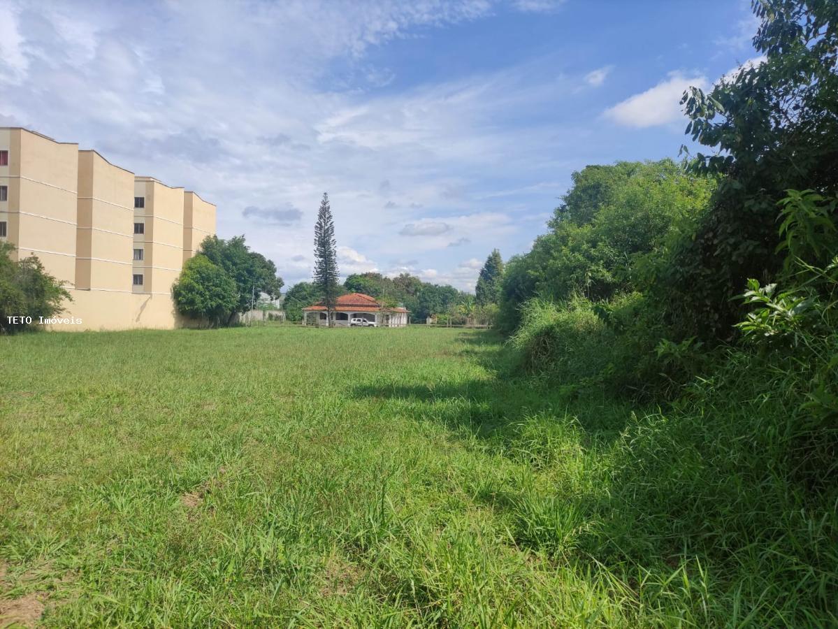 Terreno, 2 hectares - Foto 6