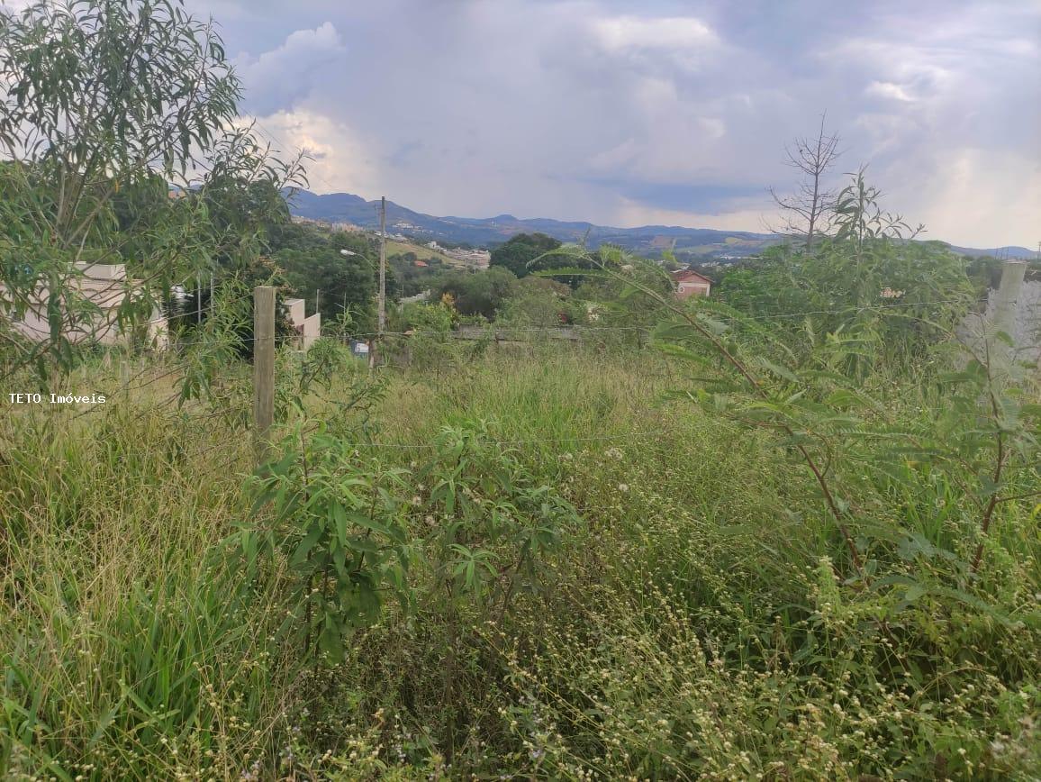 Terreno, 300 m² - Foto 3