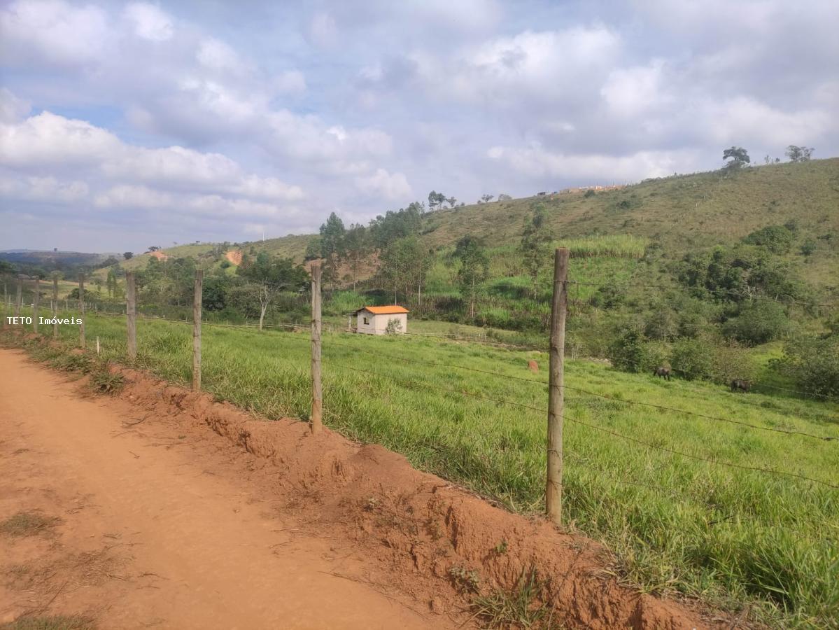 Terreno, 8000 m² - Foto 2