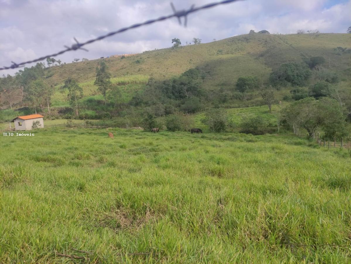 Terreno, 8000 m² - Foto 5