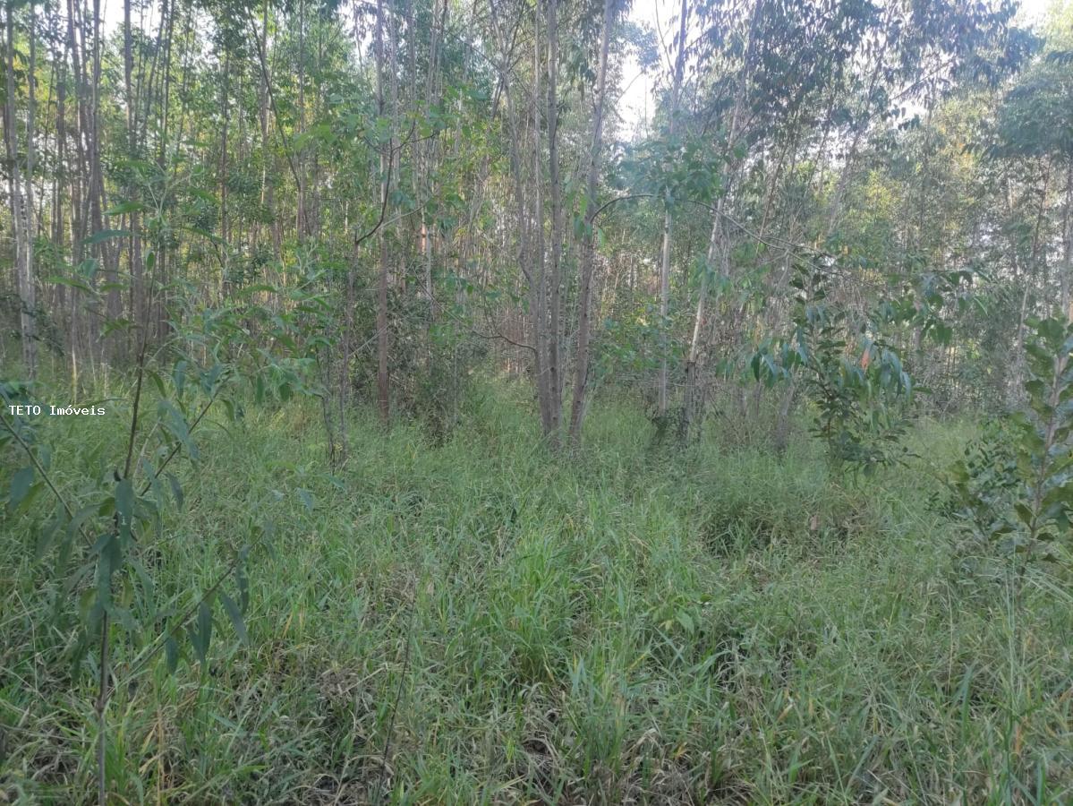 Terreno, 3639 m² - Foto 15