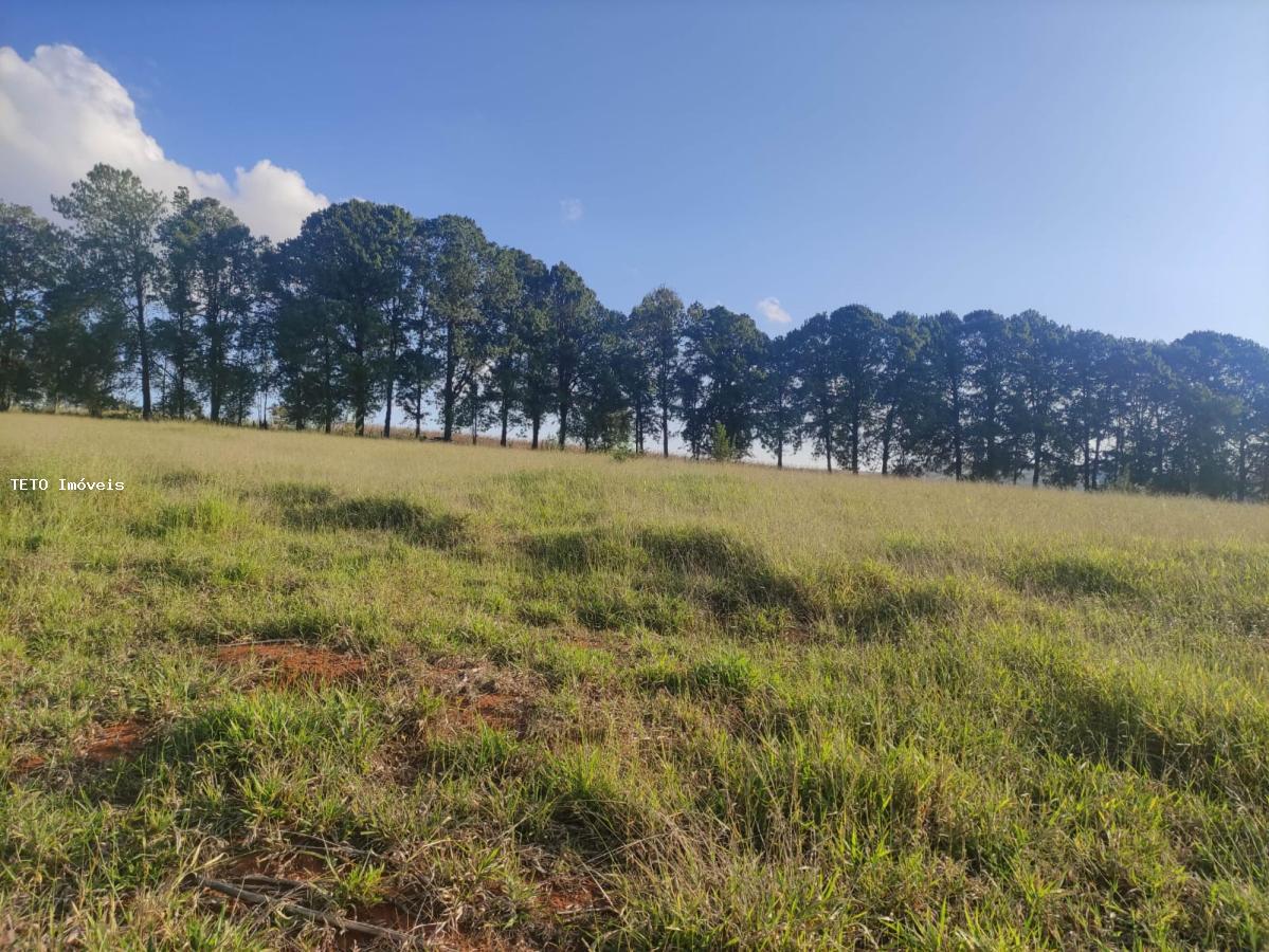 Terreno, 3639 m² - Foto 8