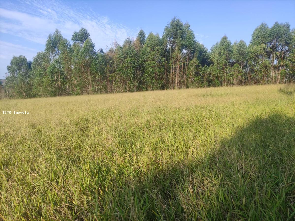 Terreno, 3639 m² - Foto 12