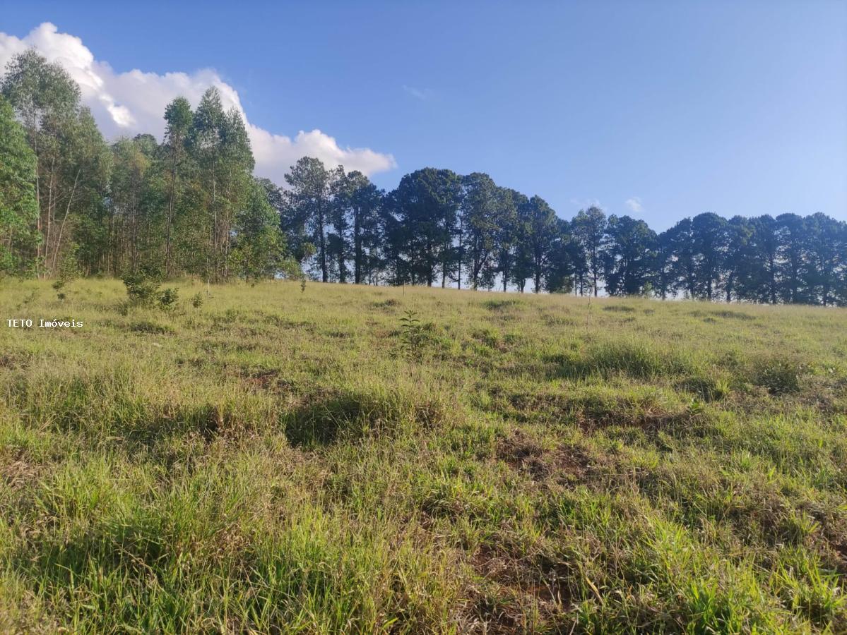 Terreno, 3639 m² - Foto 13