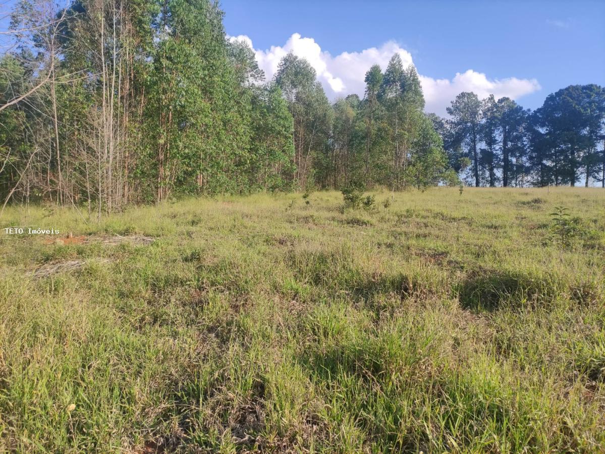 Terreno, 3639 m² - Foto 18