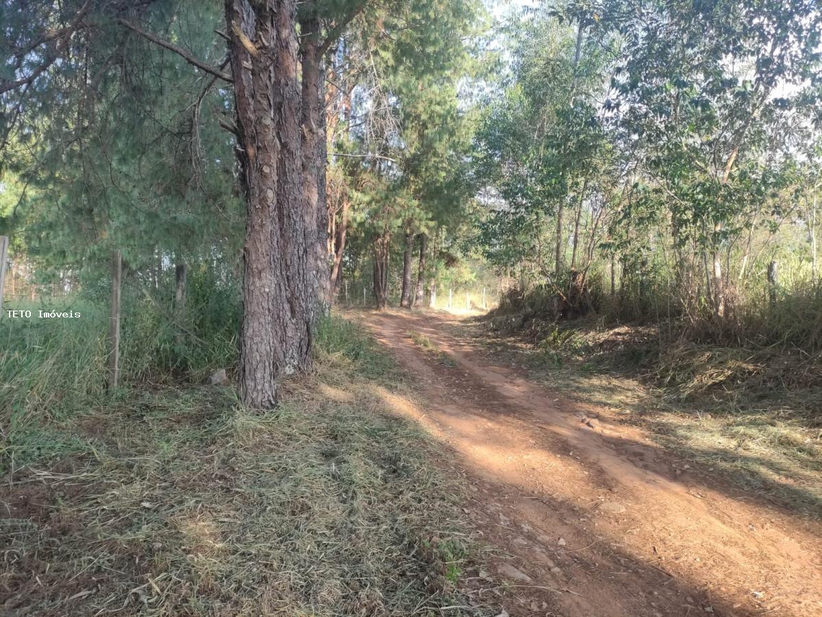 Terreno, 3639 m² - Foto 22