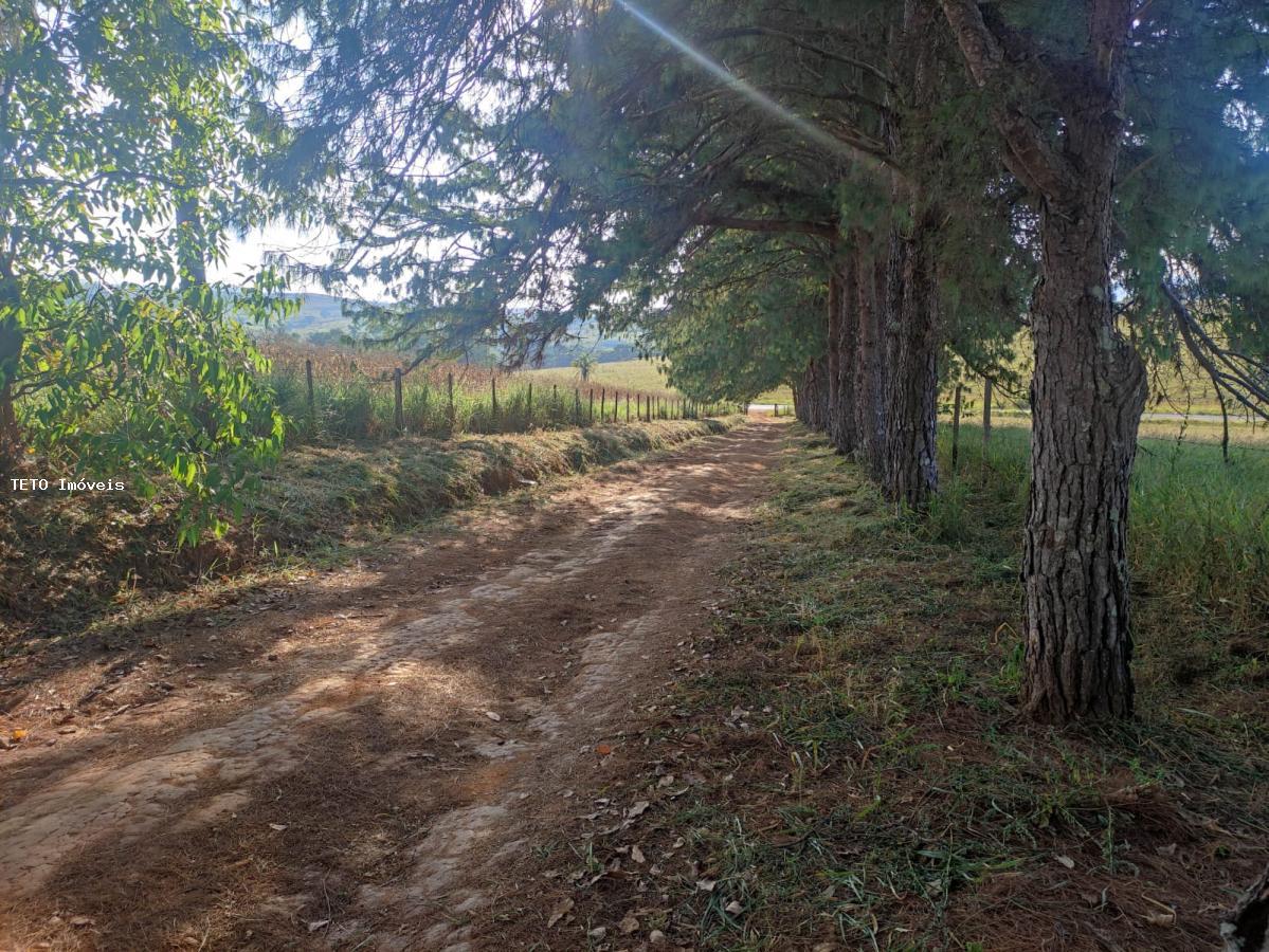 Terreno, 3639 m² - Foto 23