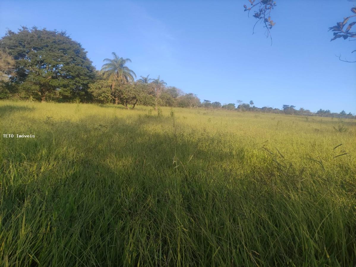 Terreno, 2500 m² - Foto 4