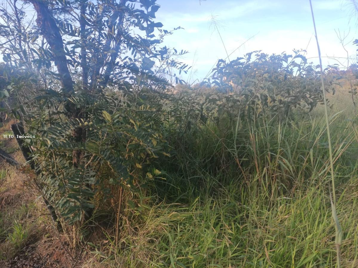 Terreno, 2500 m² - Foto 6