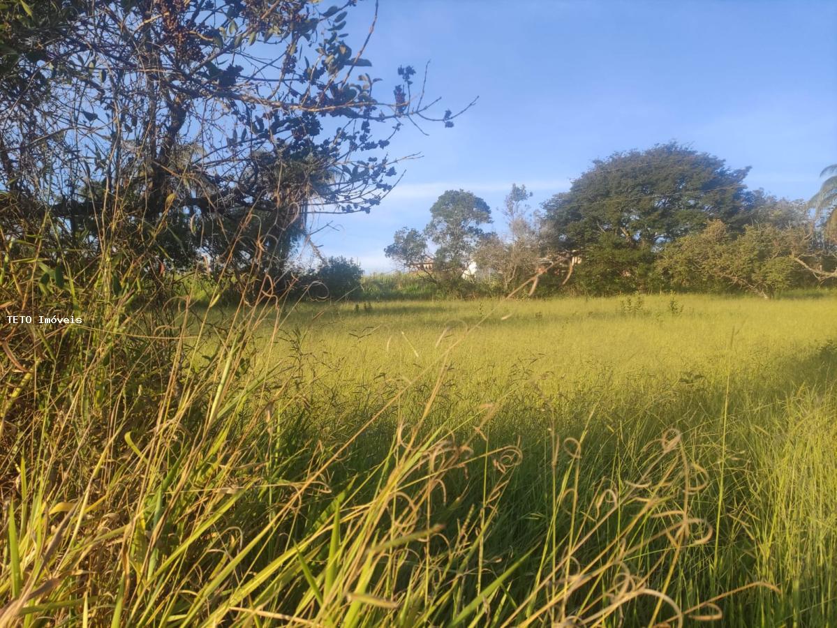 Terreno, 2500 m² - Foto 7