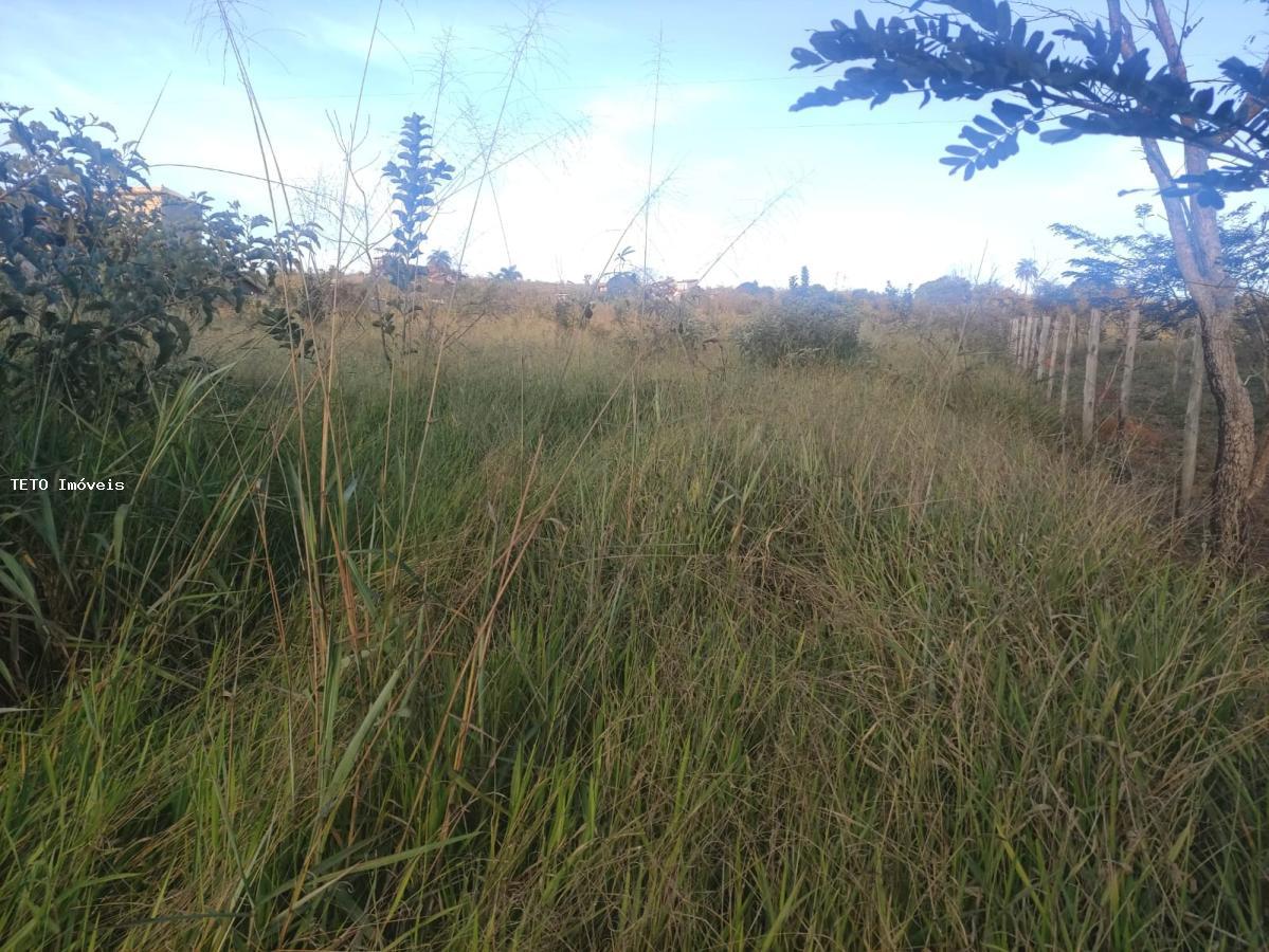 Terreno, 2500 m² - Foto 9