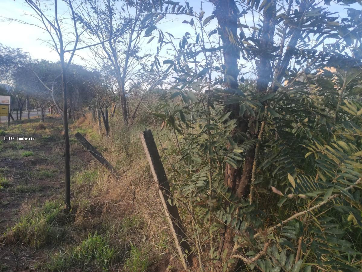 Terreno, 2500 m² - Foto 13