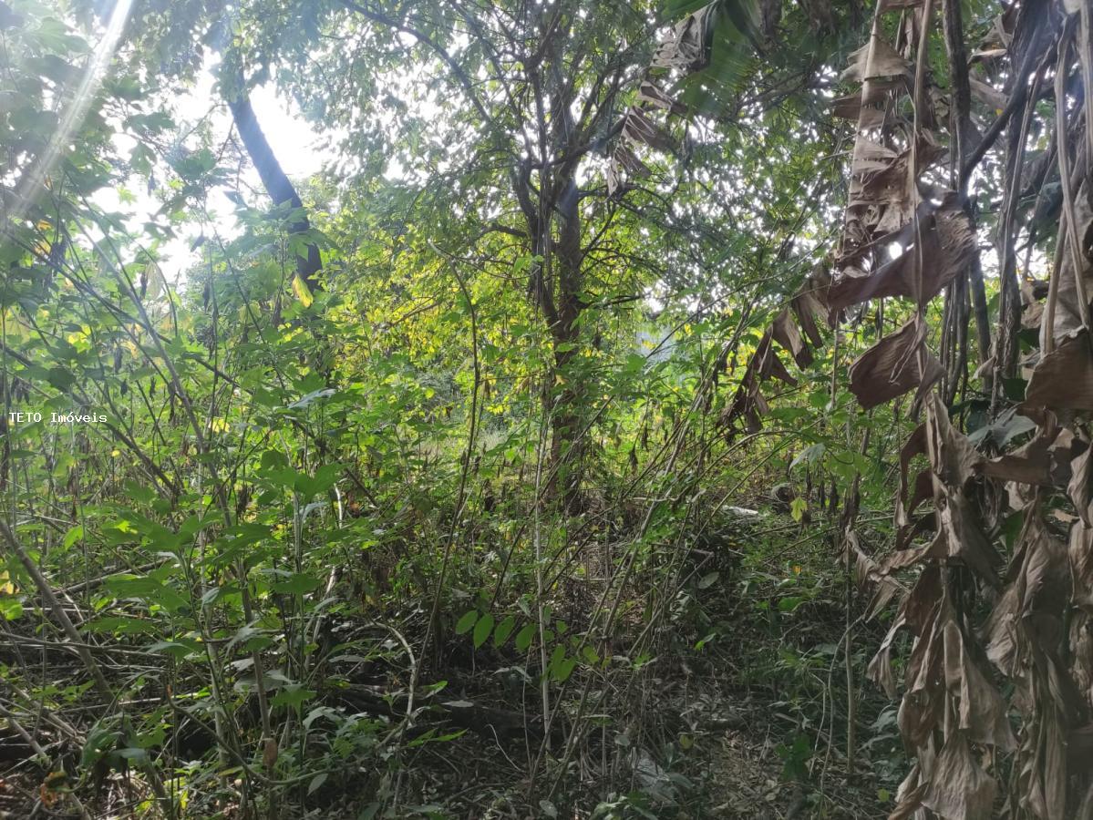 Chácara, 2500 m² - Foto 27