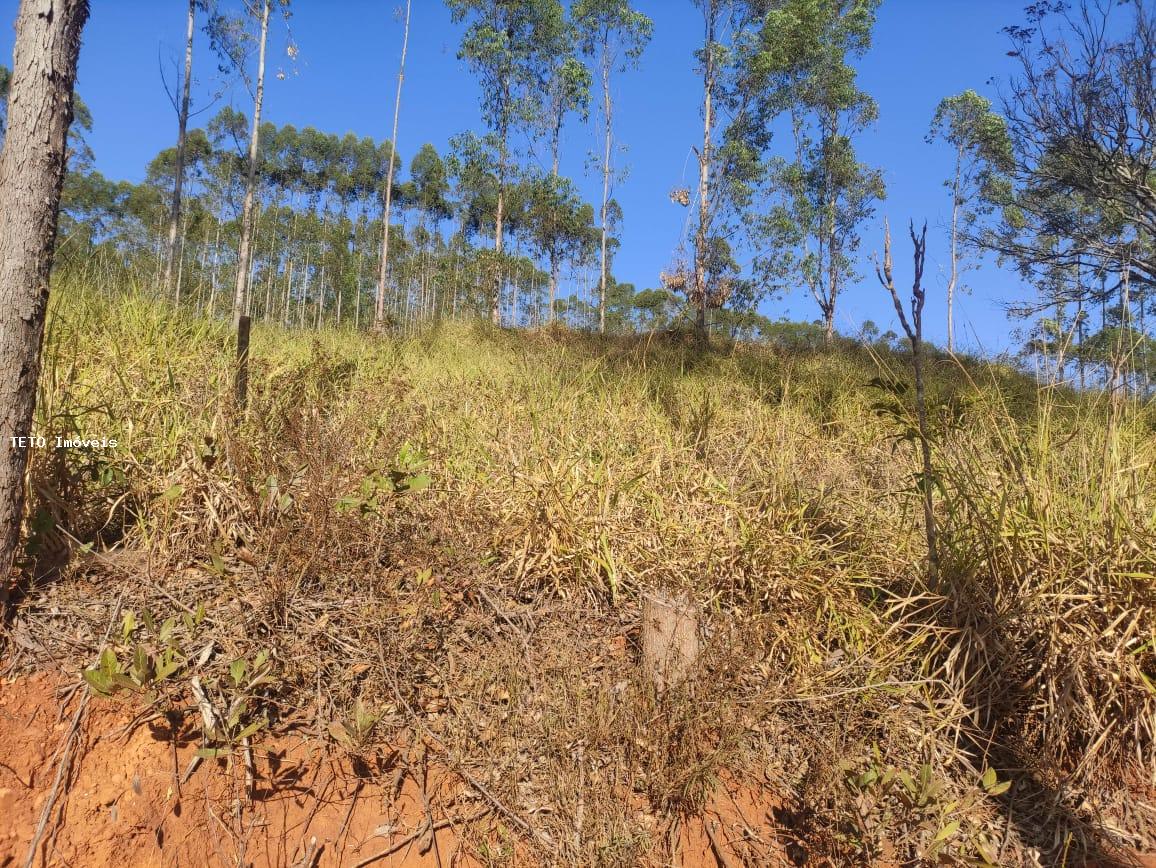 Terreno, 2079 m² - Foto 7