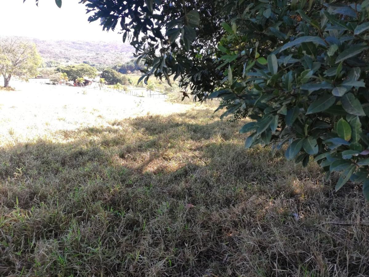 Terreno, 1360 m² - Foto 6