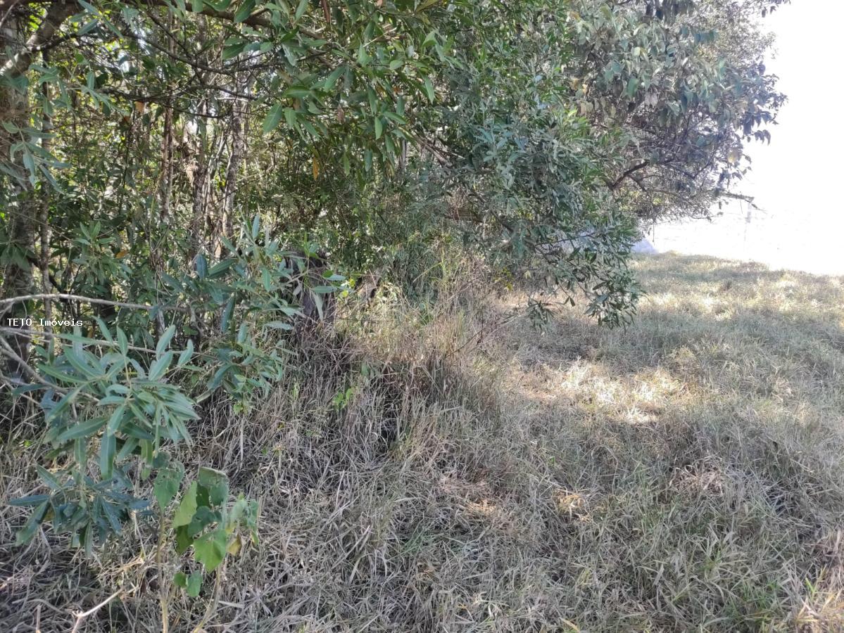 Terreno, 1360 m² - Foto 14