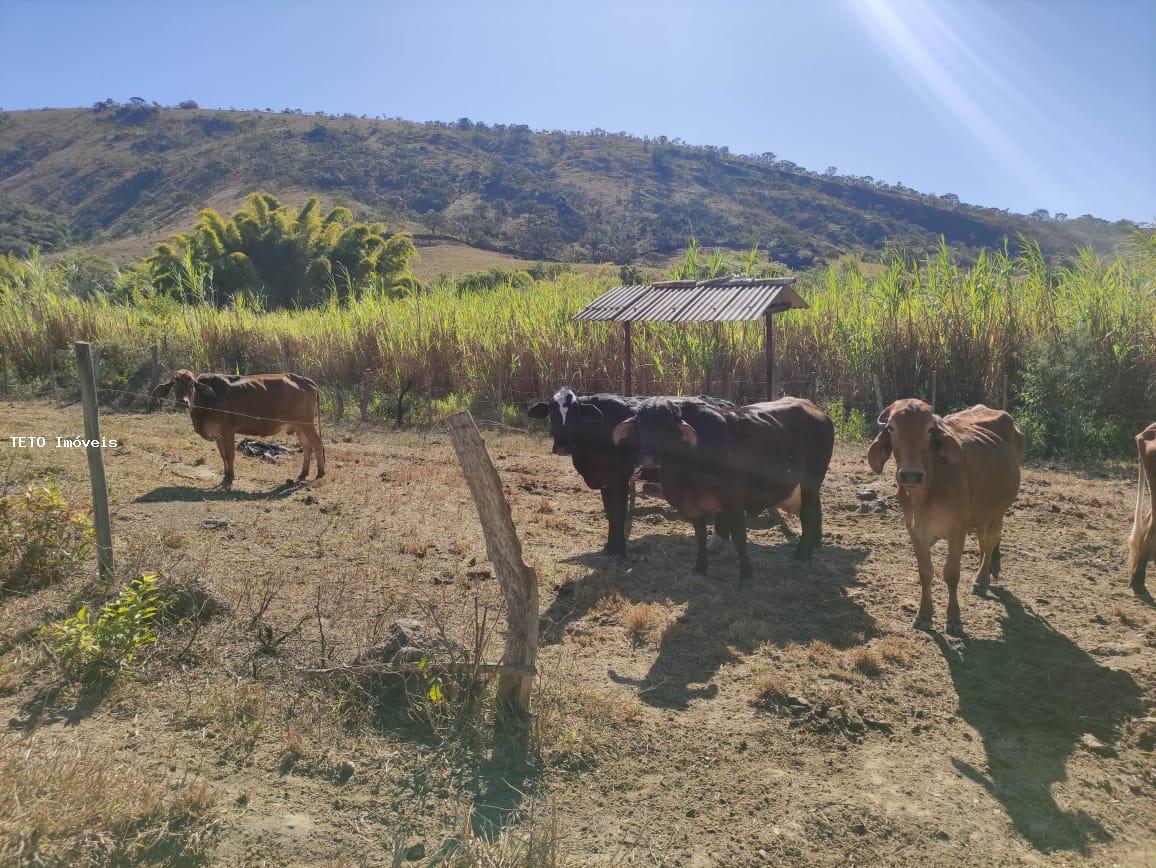 Fazenda, 102 m² - Foto 37