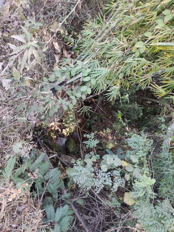 Fazenda, 102 m² - Foto 46