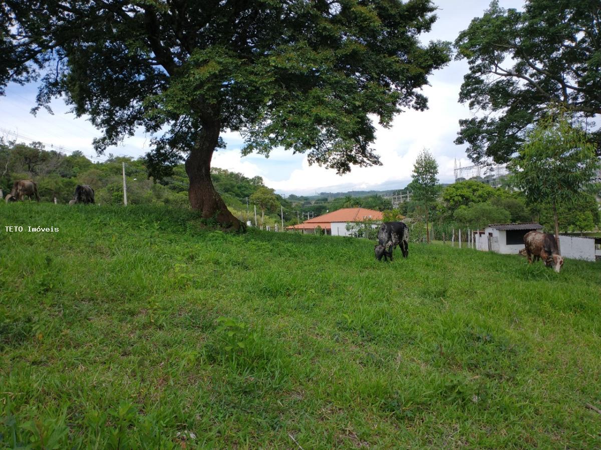 Sítio, 4 quartos, 1 hectares - Foto 10