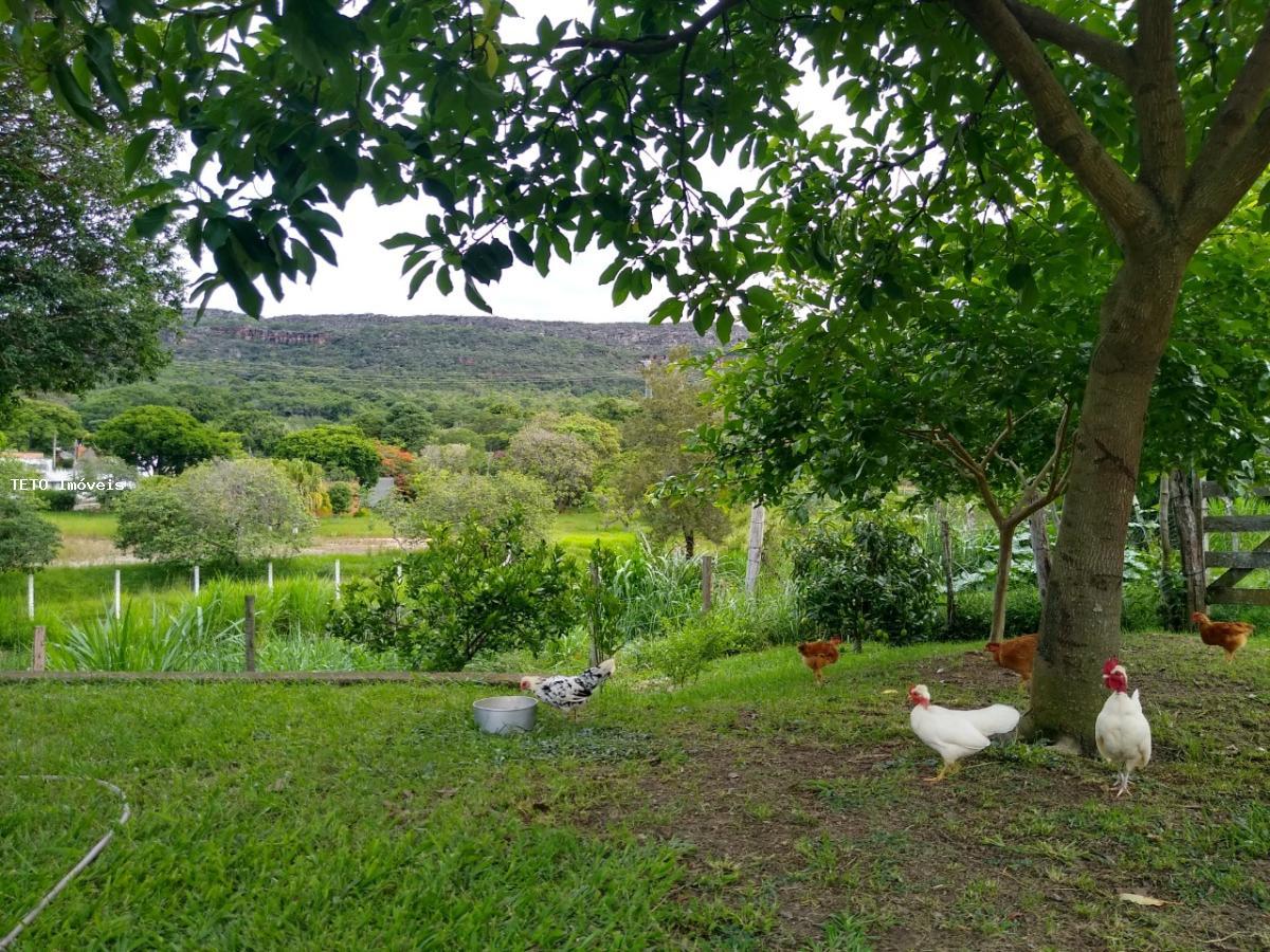 Sítio, 4 quartos, 1 hectares - Foto 14