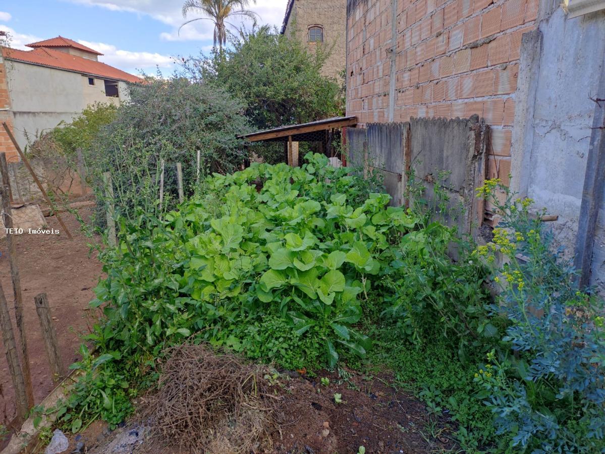 Casa, 4 quartos - Foto 14