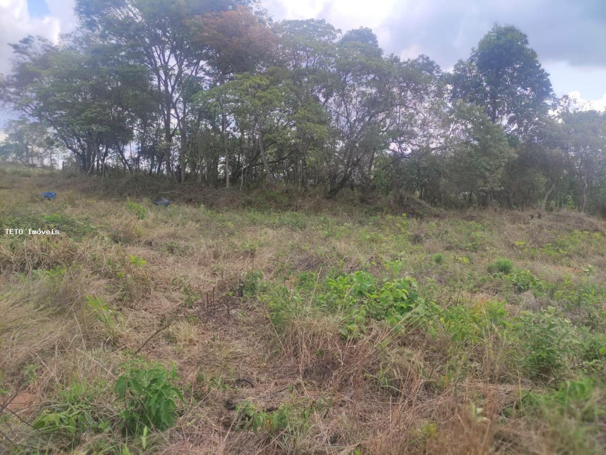 Terreno, 3000 m² - Foto 5