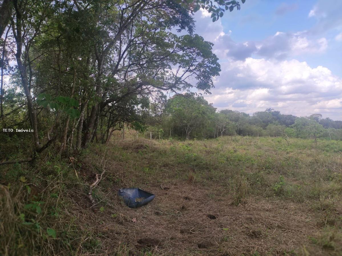 Terreno, 3000 m² - Foto 7