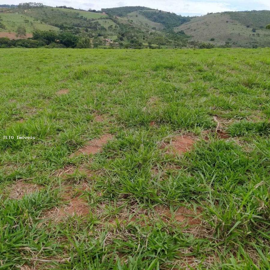 Fazenda, 40 m² - Foto 3