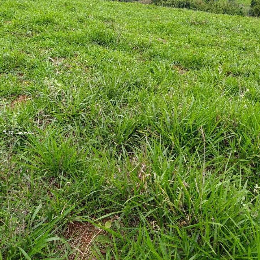 Fazenda, 40 m² - Foto 7