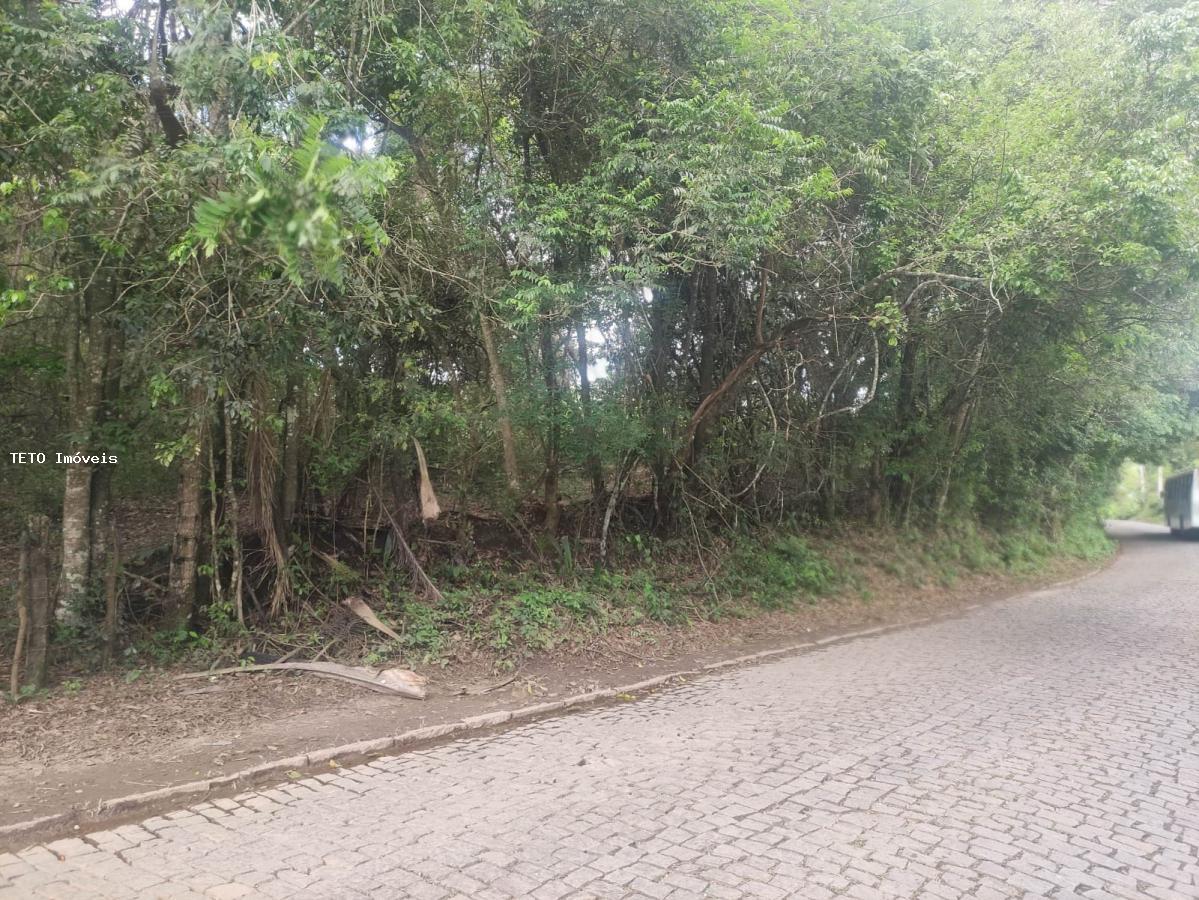 Loteamento e Condomínio, 2 hectares - Foto 3