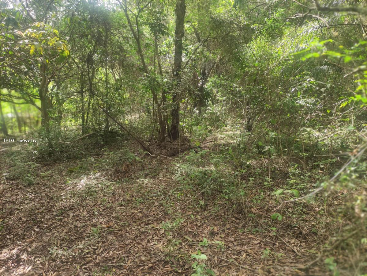 Loteamento e Condomínio, 2 hectares - Foto 9