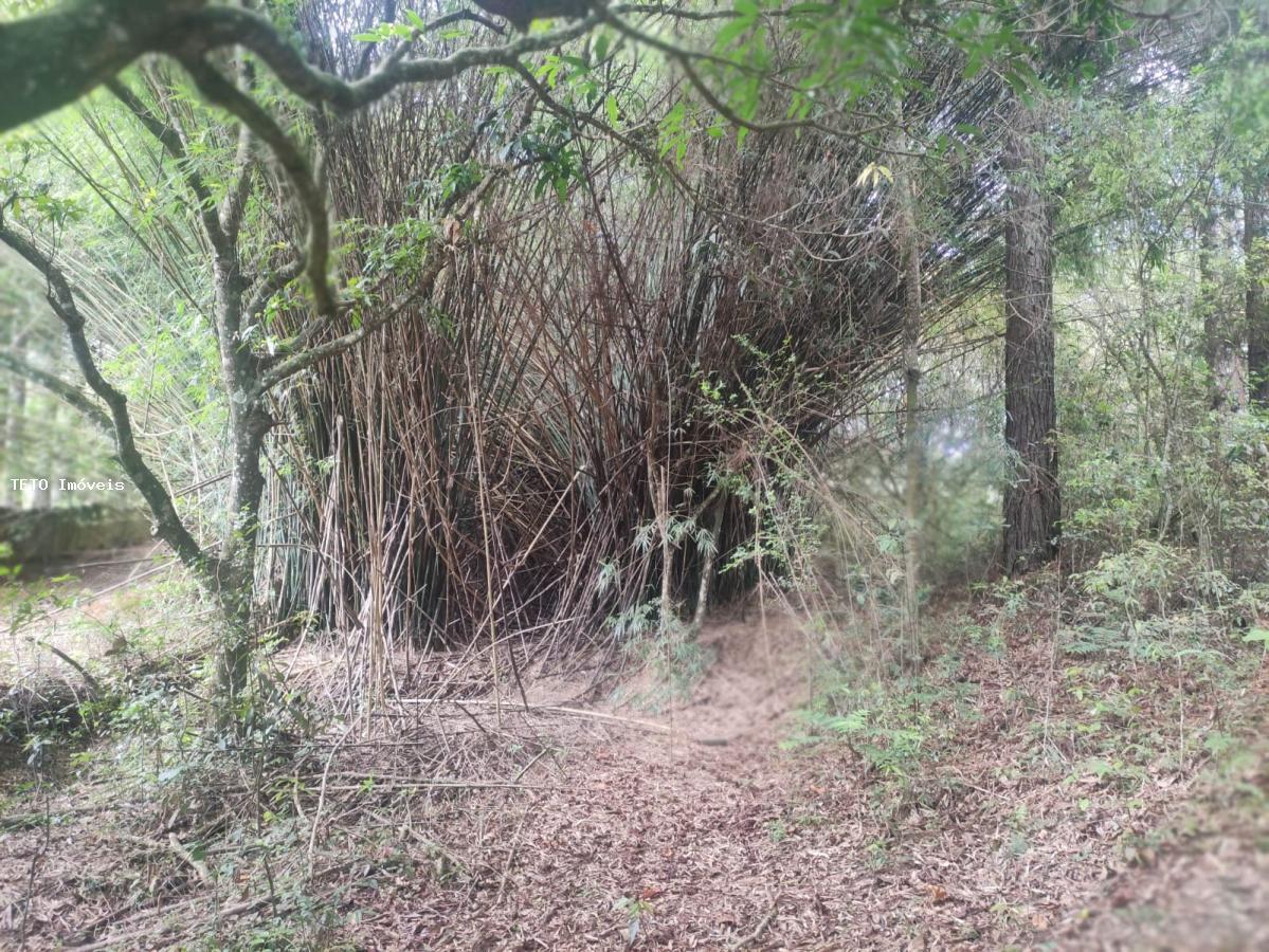 Loteamento e Condomínio, 2 hectares - Foto 10