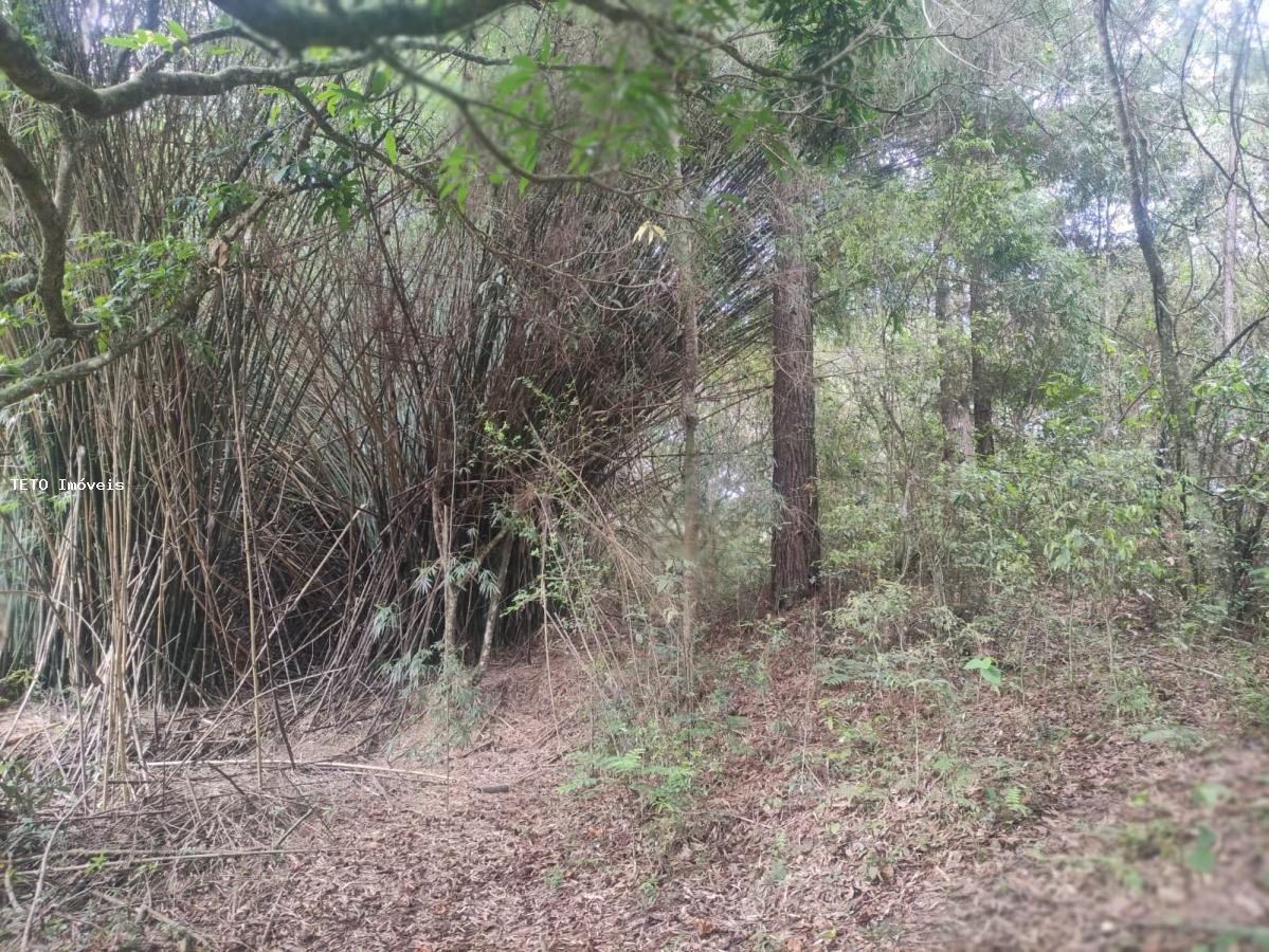 Loteamento e Condomínio, 2 hectares - Foto 11