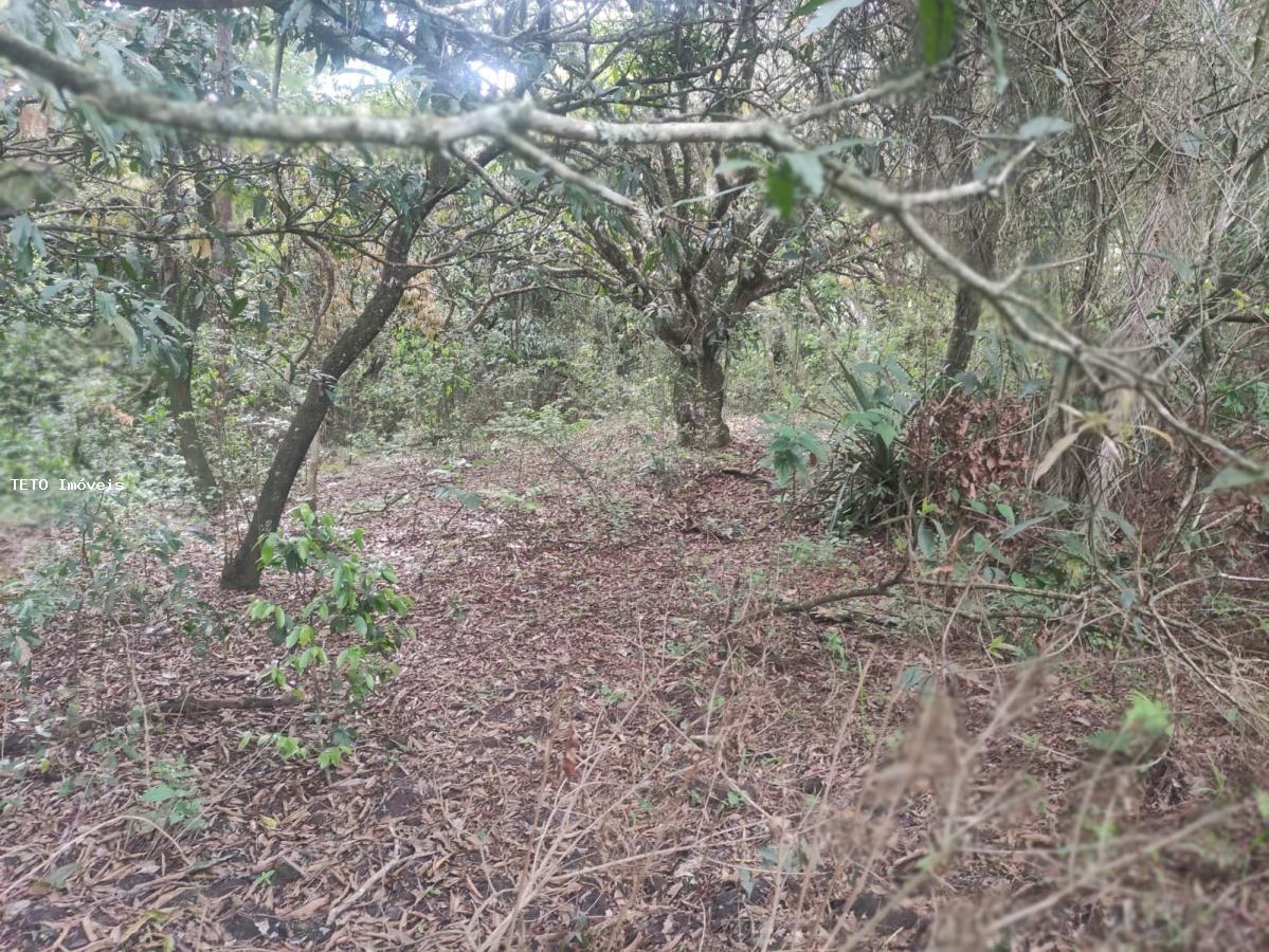 Loteamento e Condomínio, 2 hectares - Foto 12