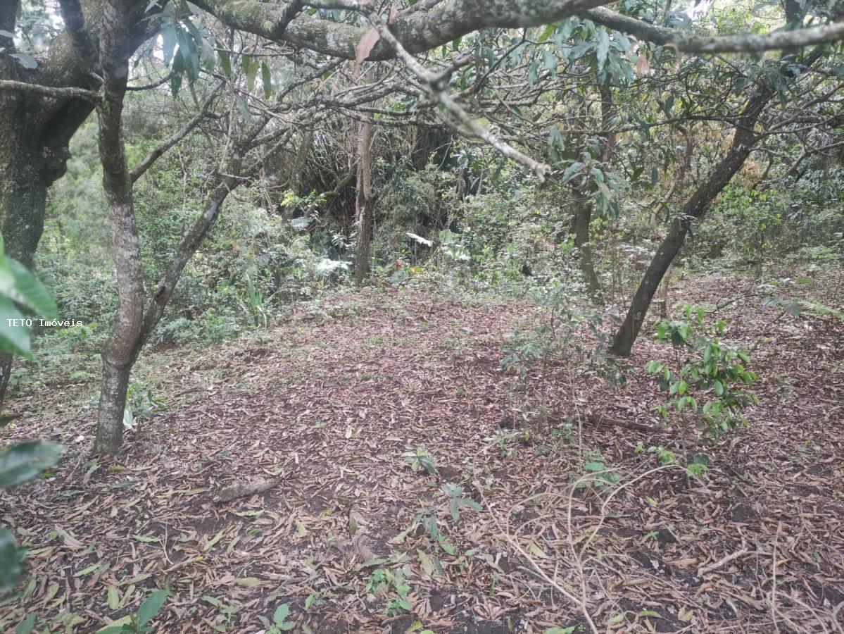 Loteamento e Condomínio, 2 hectares - Foto 13