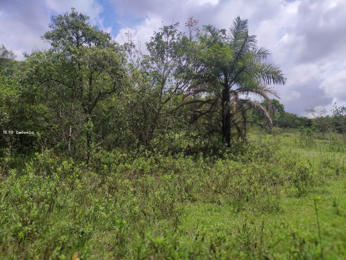 Loteamento e Condomínio, 2 hectares - Foto 23