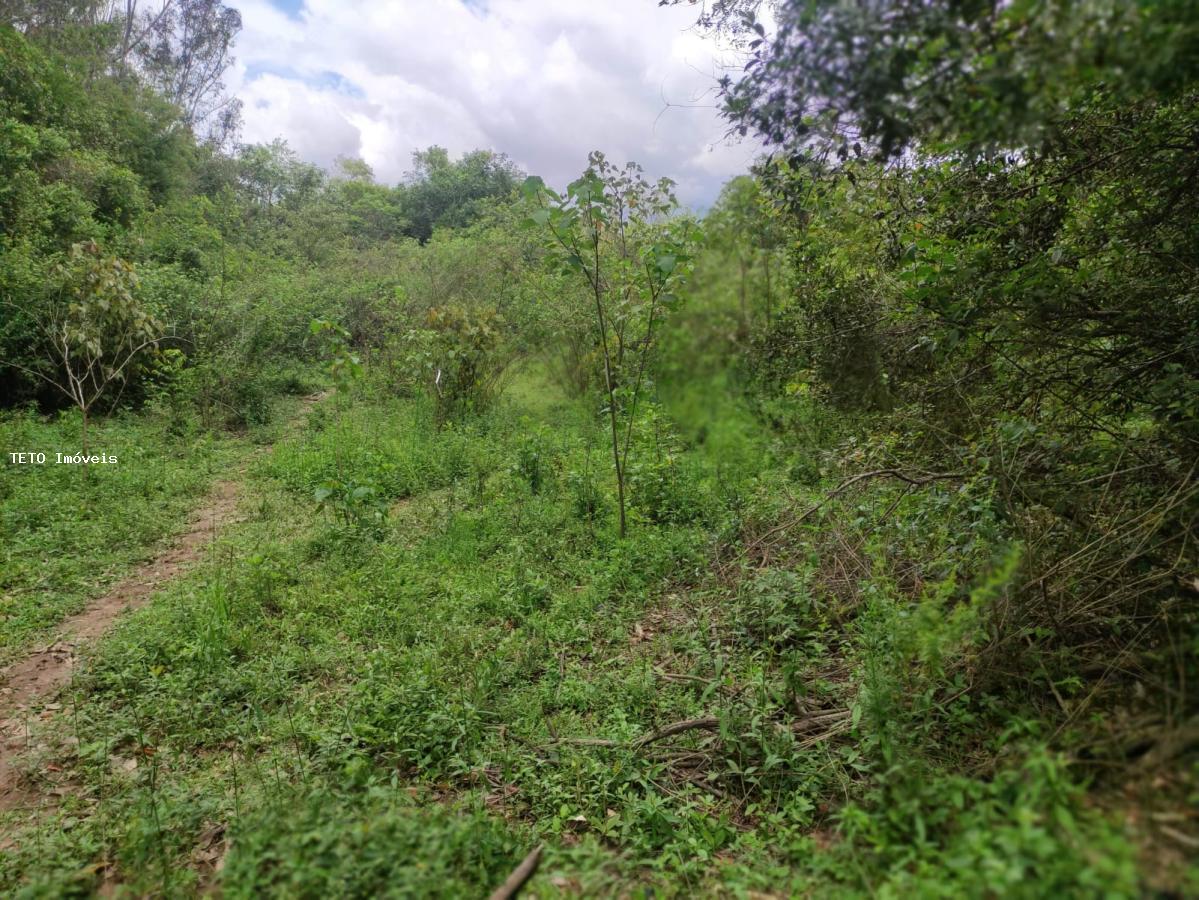 Loteamento e Condomínio, 3 hectares - Foto 5