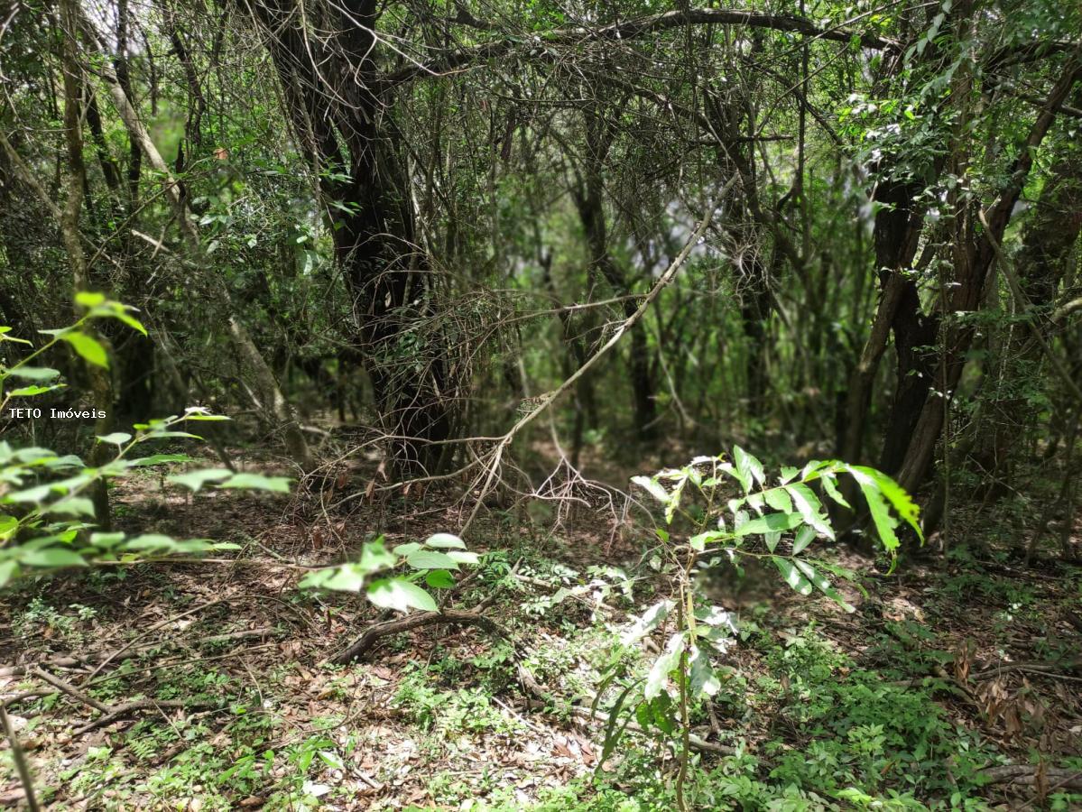Loteamento e Condomínio, 3 hectares - Foto 8