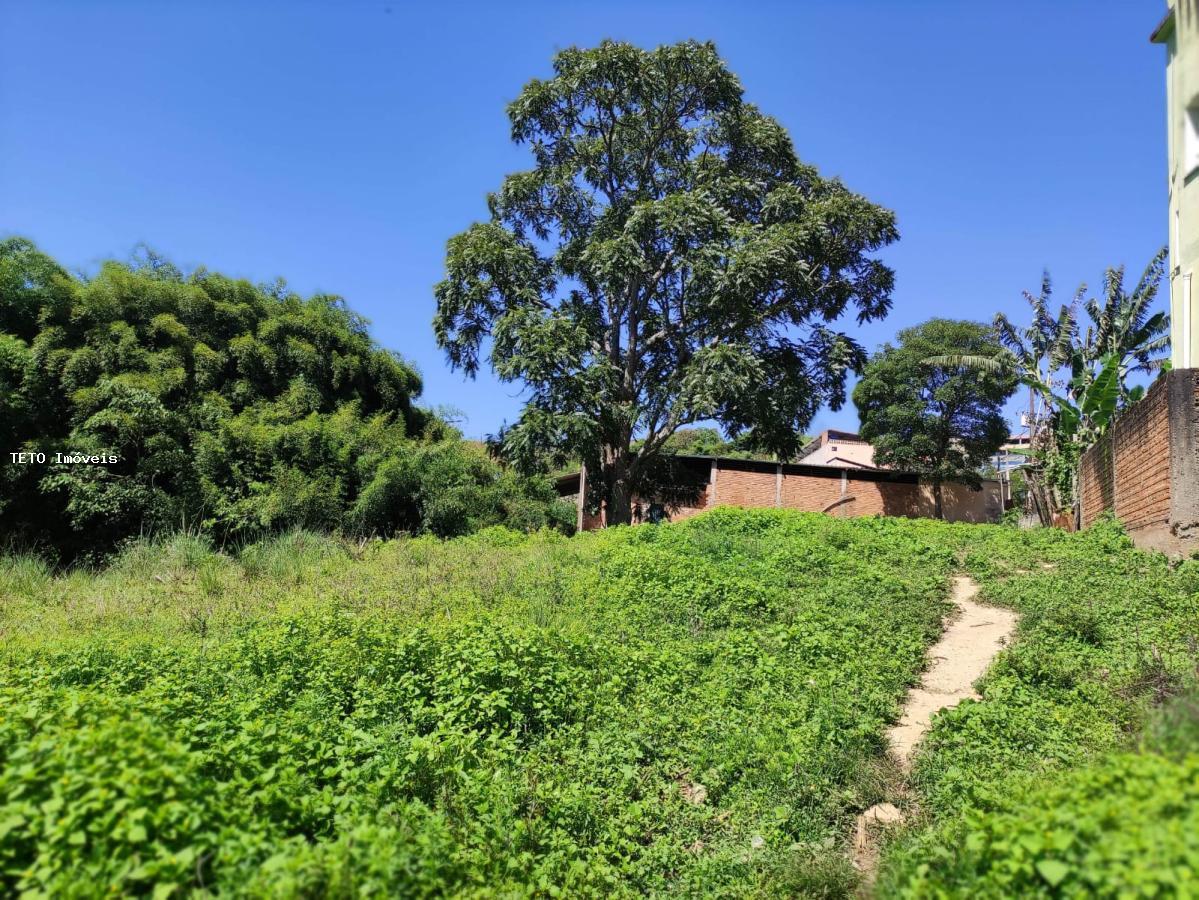 Terreno, 9541 m² - Foto 17