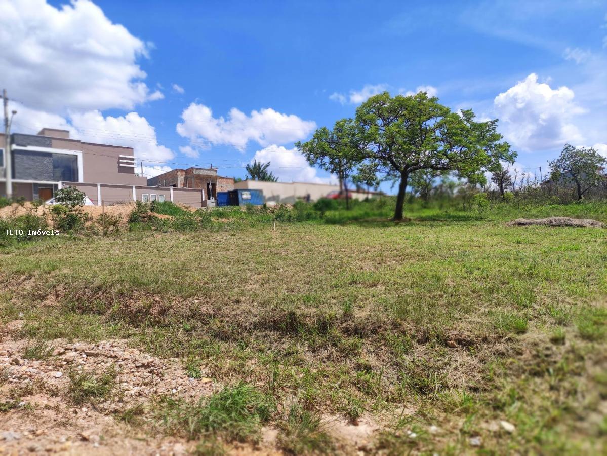 Terreno, 242 m² - Foto 3