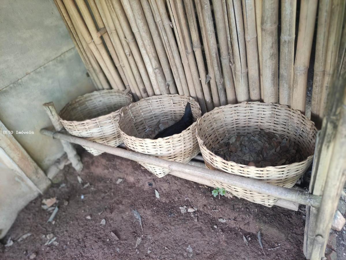 Chácara, 3 quartos, 1000 m² - Foto 29