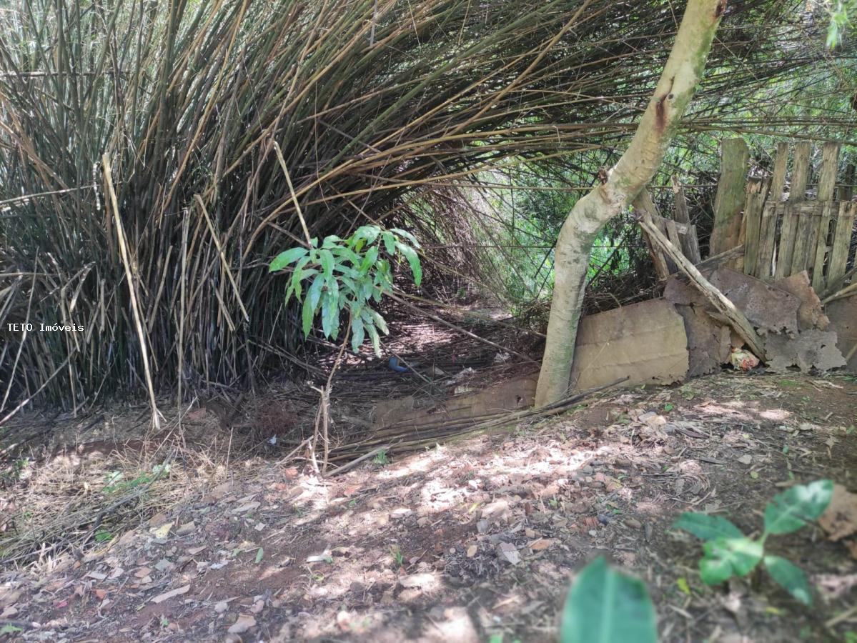 Chácara, 3 quartos, 1000 m² - Foto 40