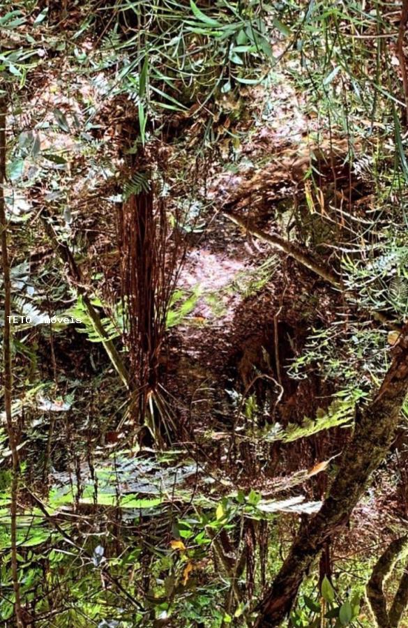 Terreno, 1000 m² - Foto 18