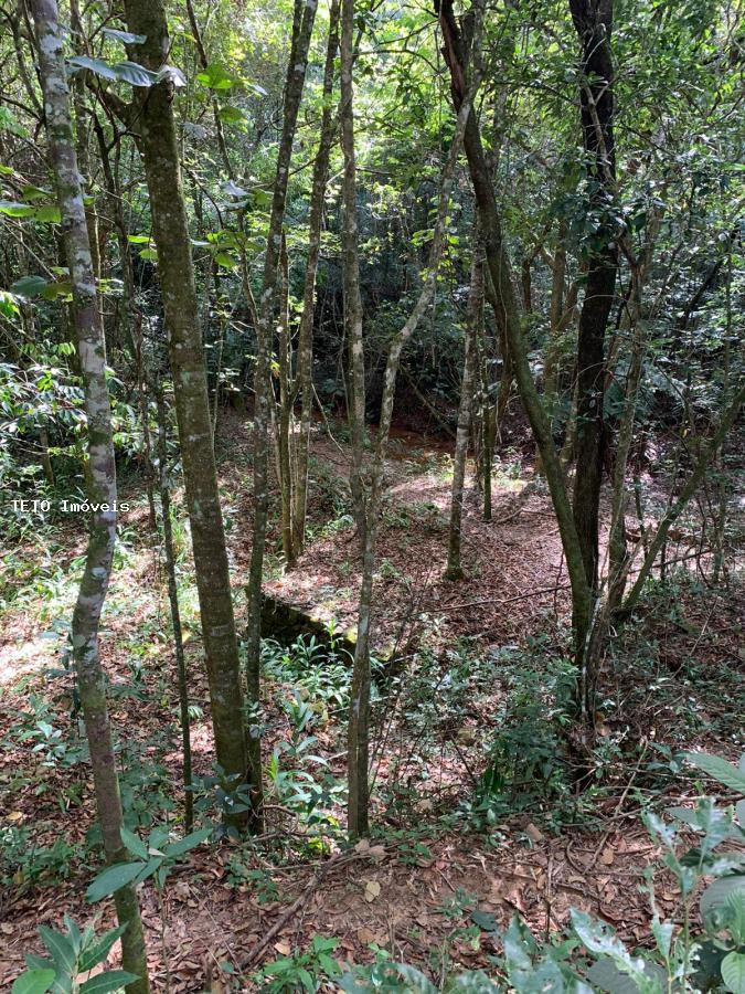 Terreno, 1142 m² - Foto 4