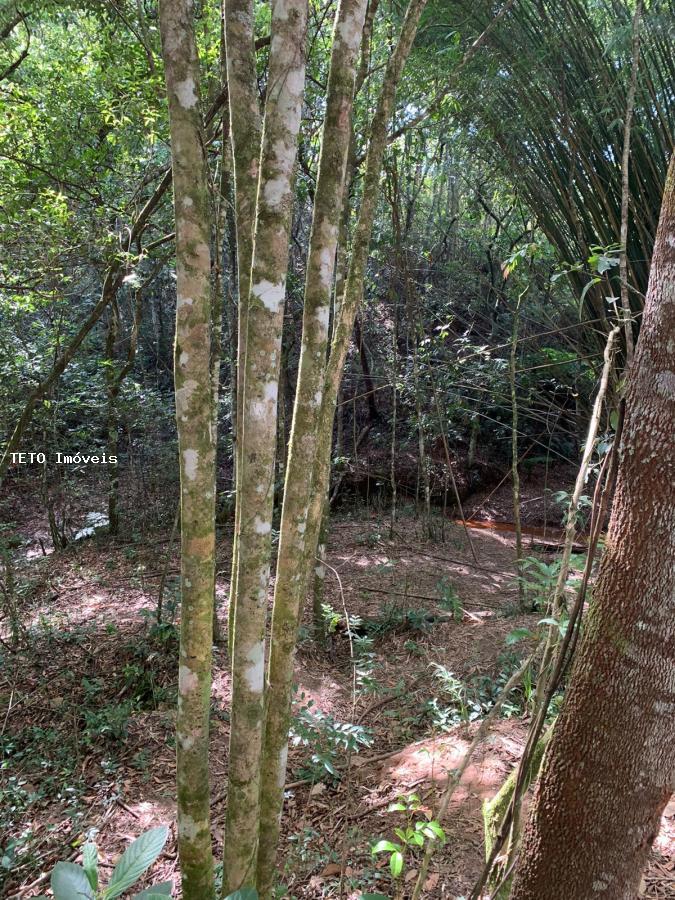 Terreno, 1142 m² - Foto 6