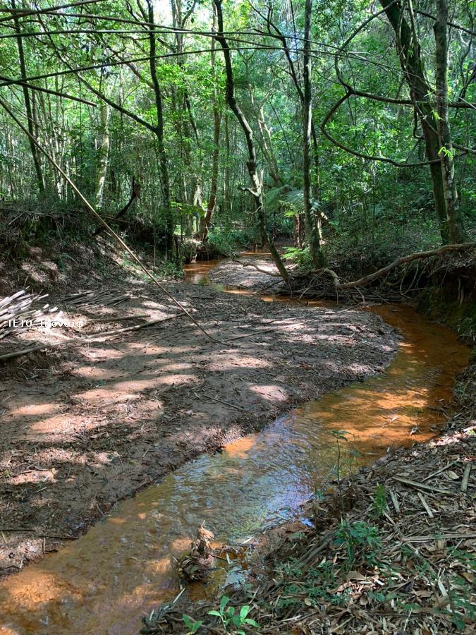 Terreno, 1142 m² - Foto 9