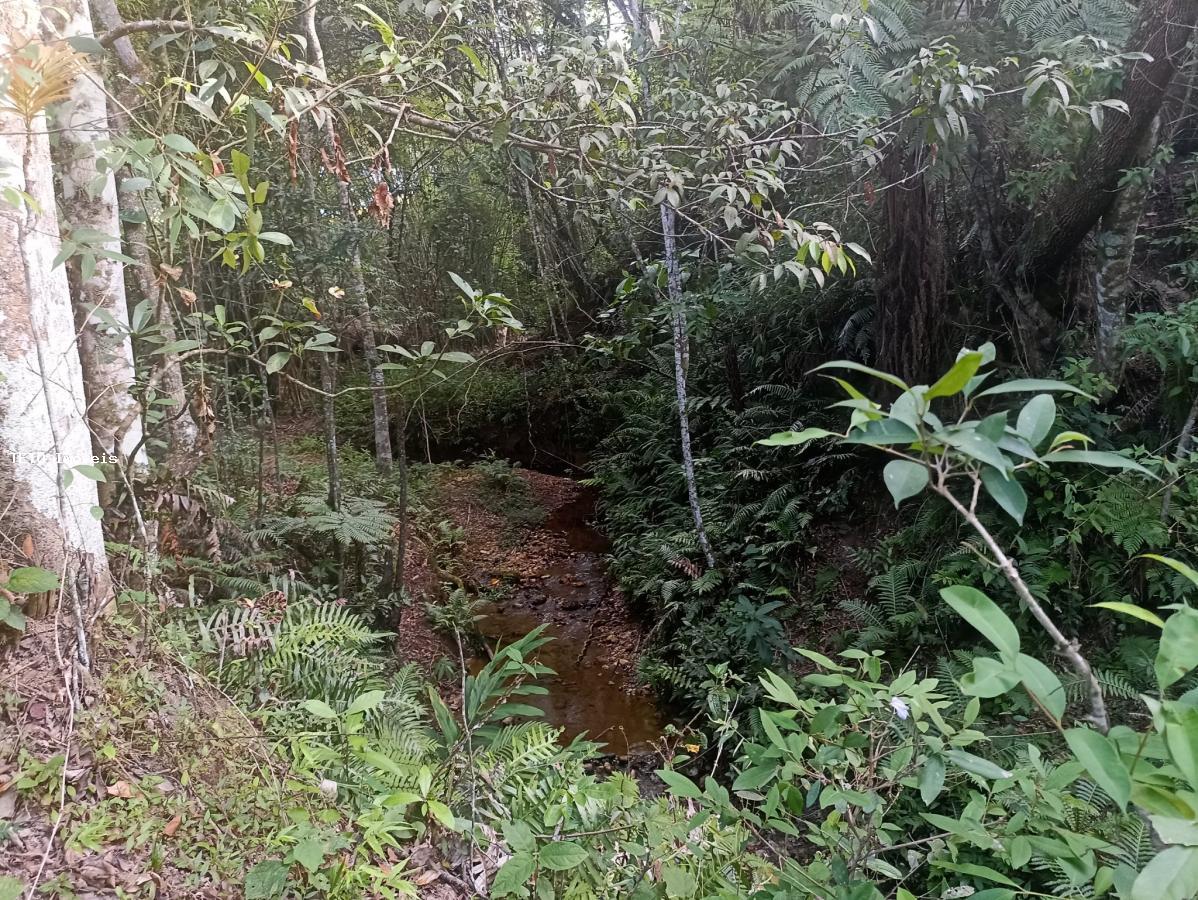 Sítio, 7 m² - Foto 39