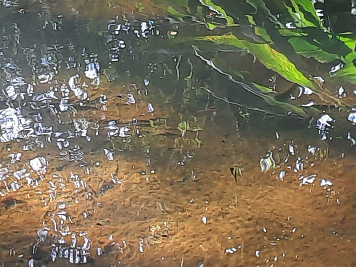 Sítio, 7 m² - Foto 42