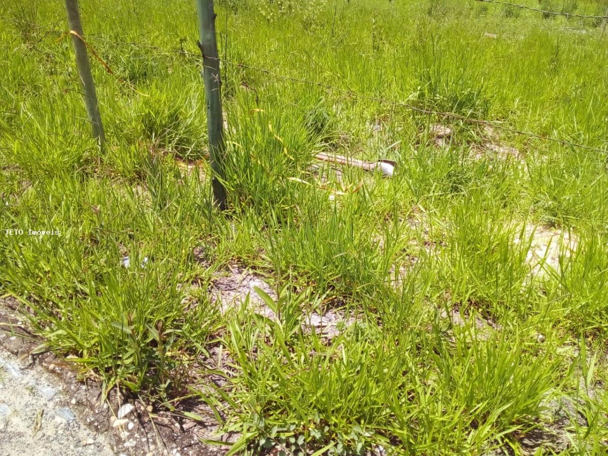 Terreno, 1156 m² - Foto 7