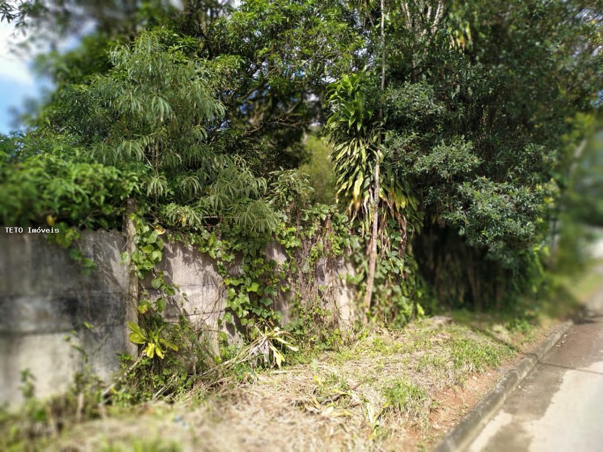 Terreno, 720 m² - Foto 5